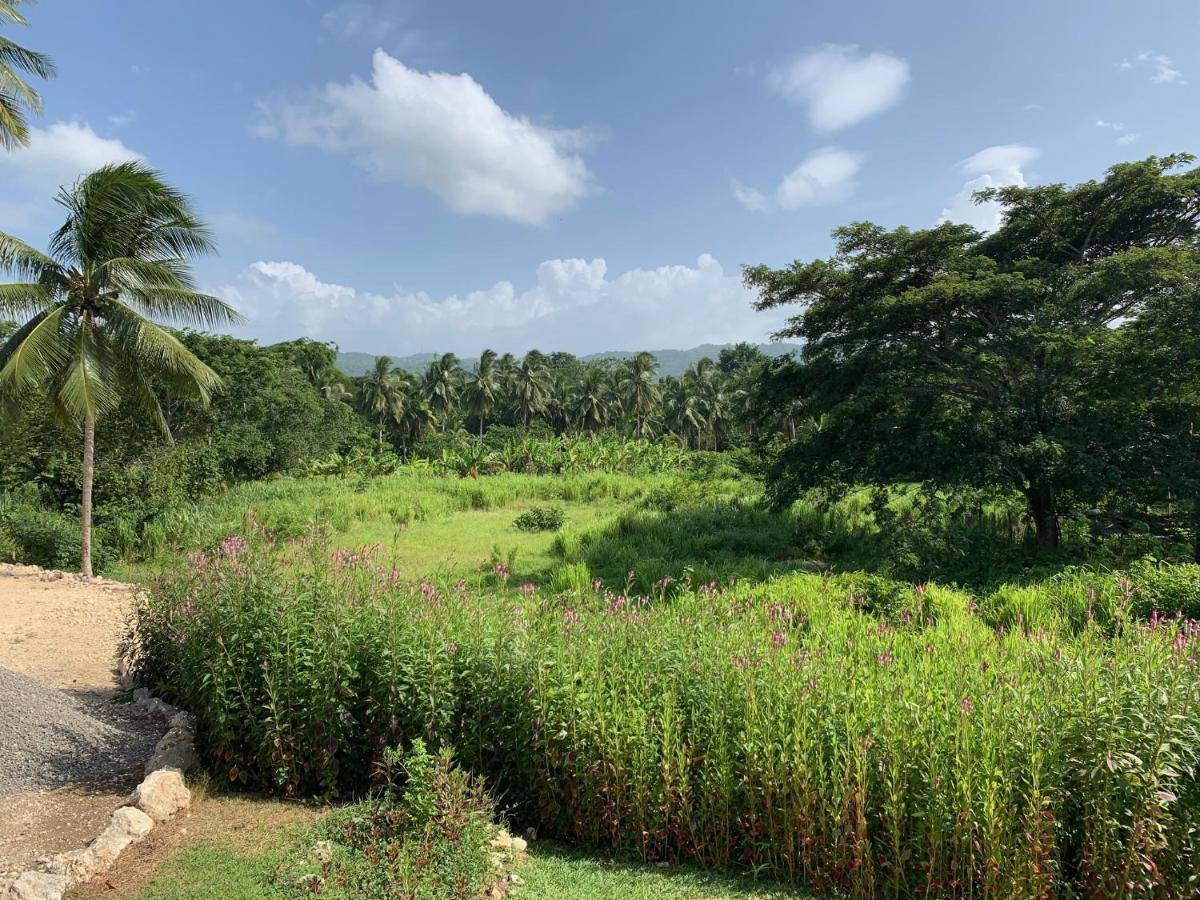 Green Queendom Farm And Lodging Oracabessa Exterior foto